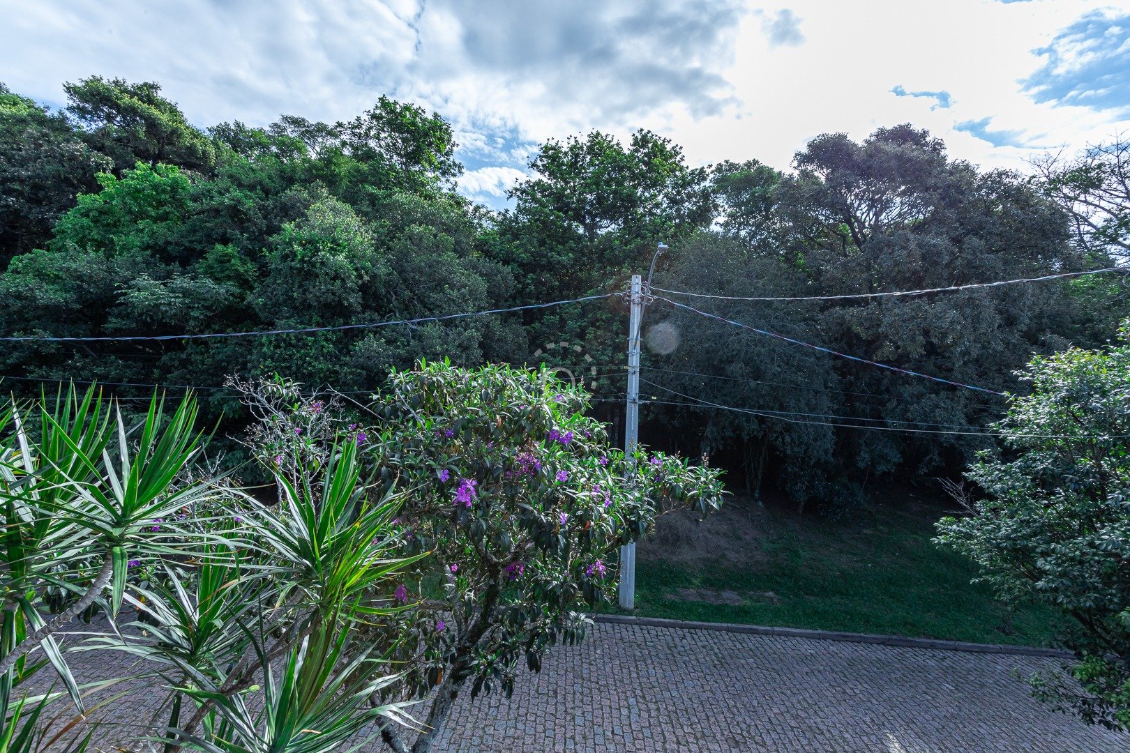 Imagem da propriedade 33