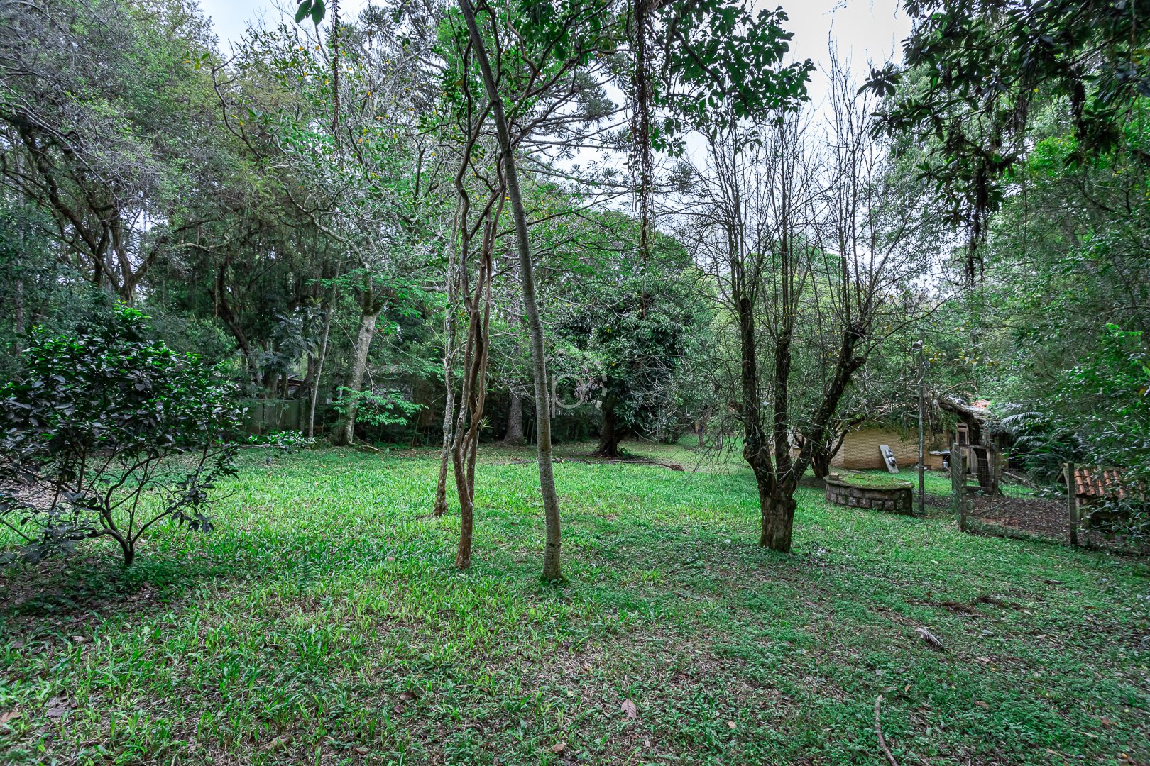 Imagem da propriedade 5