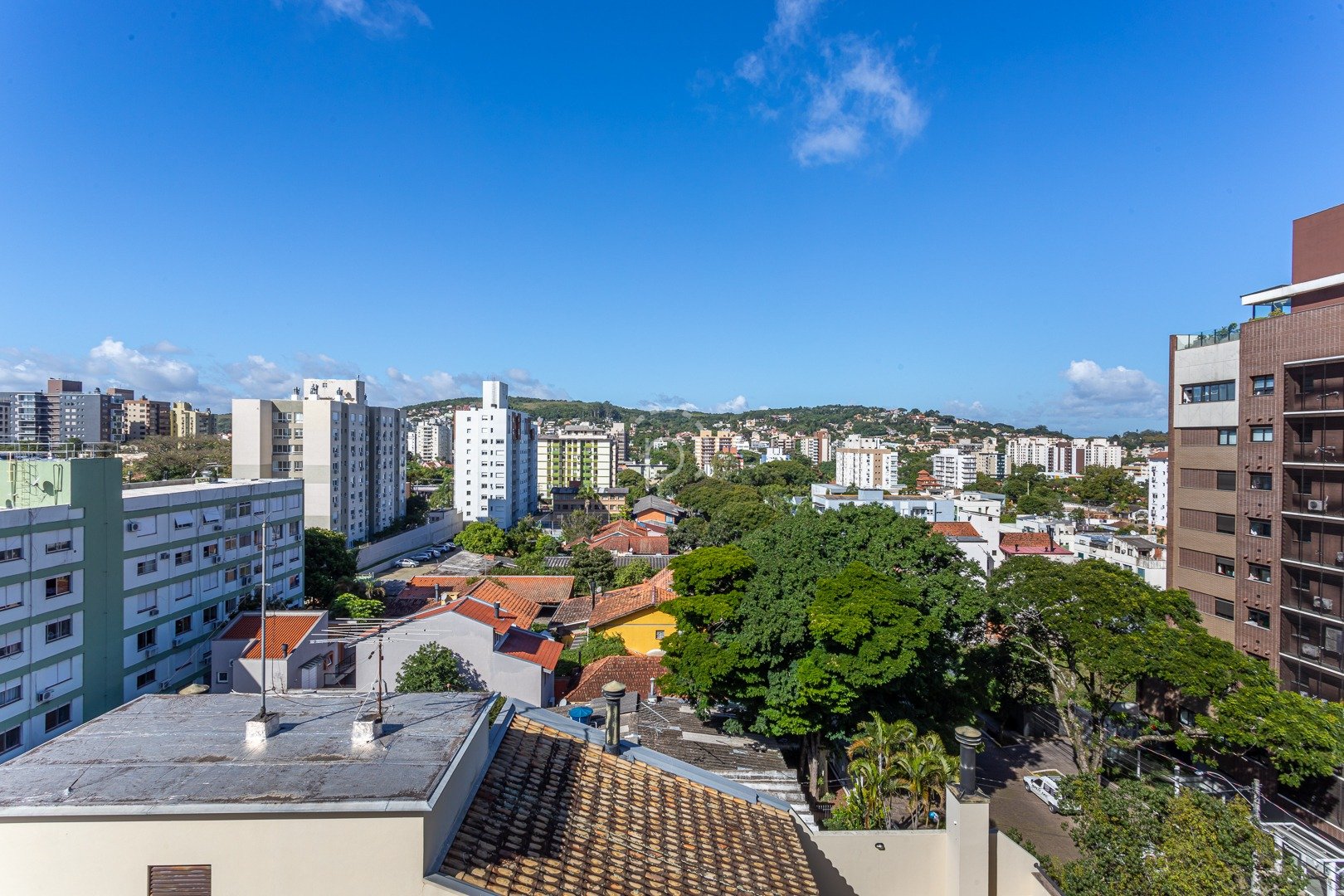 Imagem da propriedade 55