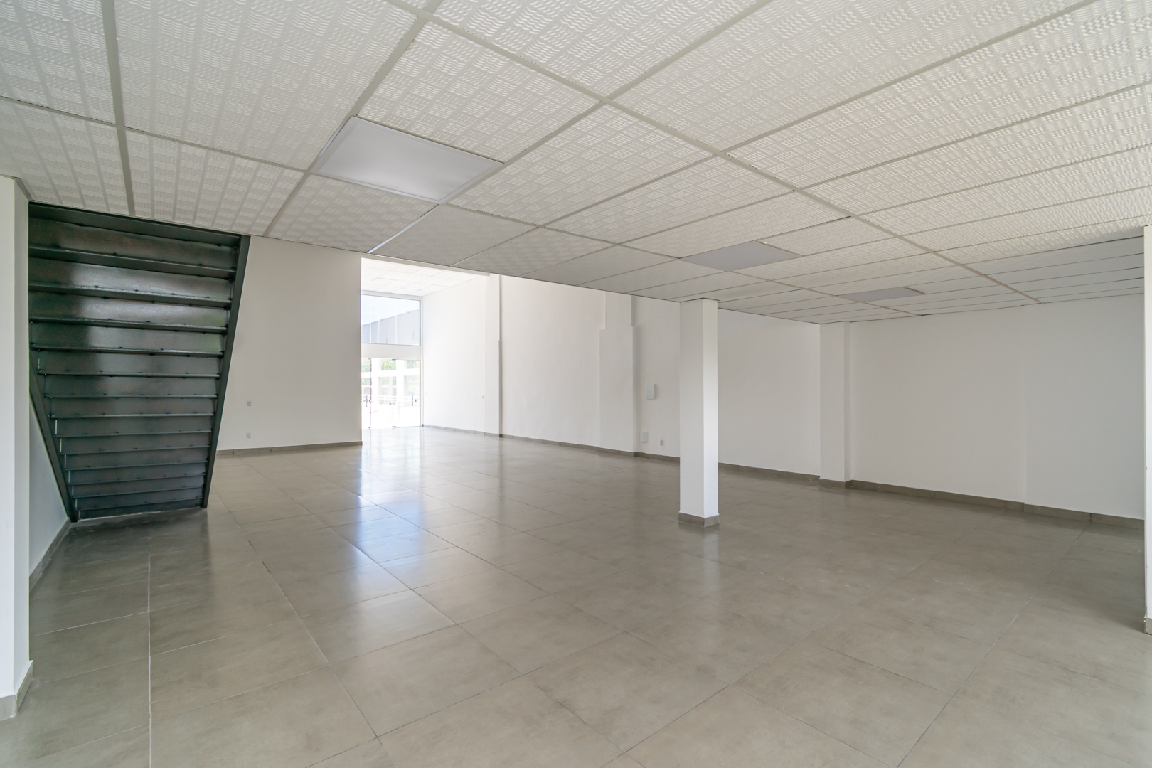 Imagem da propriedade 6