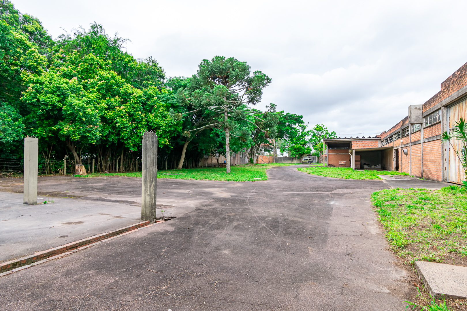 Imagem da propriedade 11