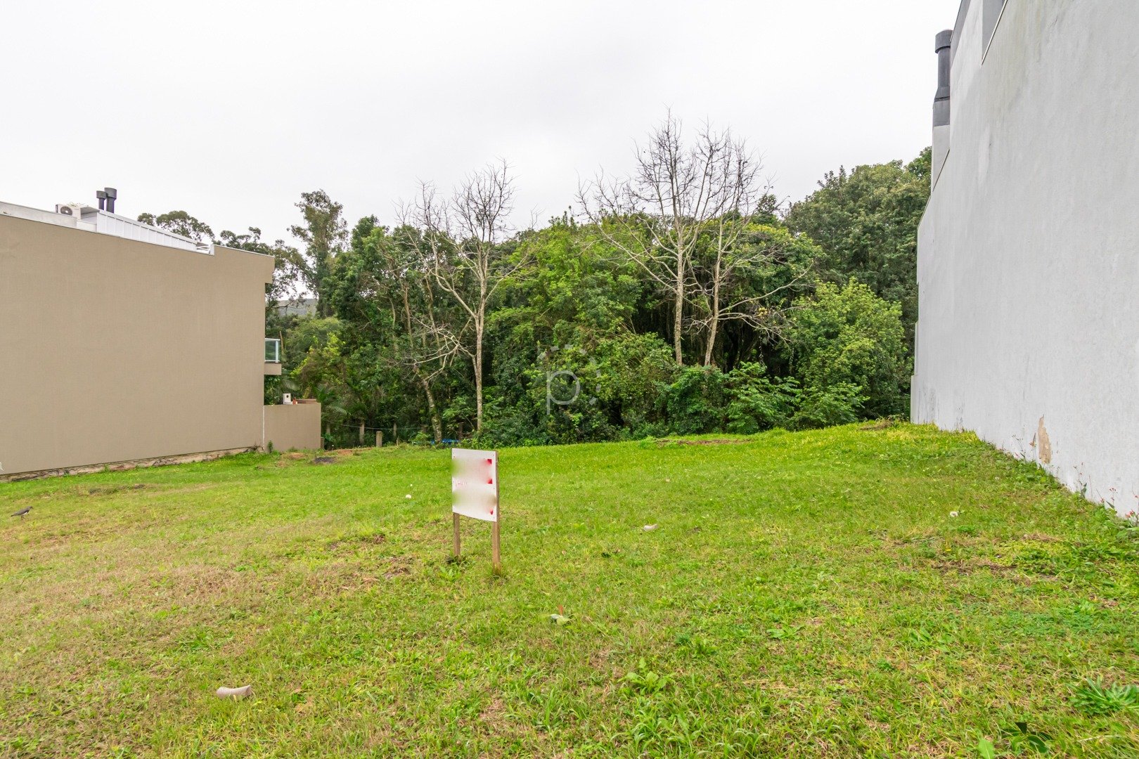 Imagem da propriedade 3