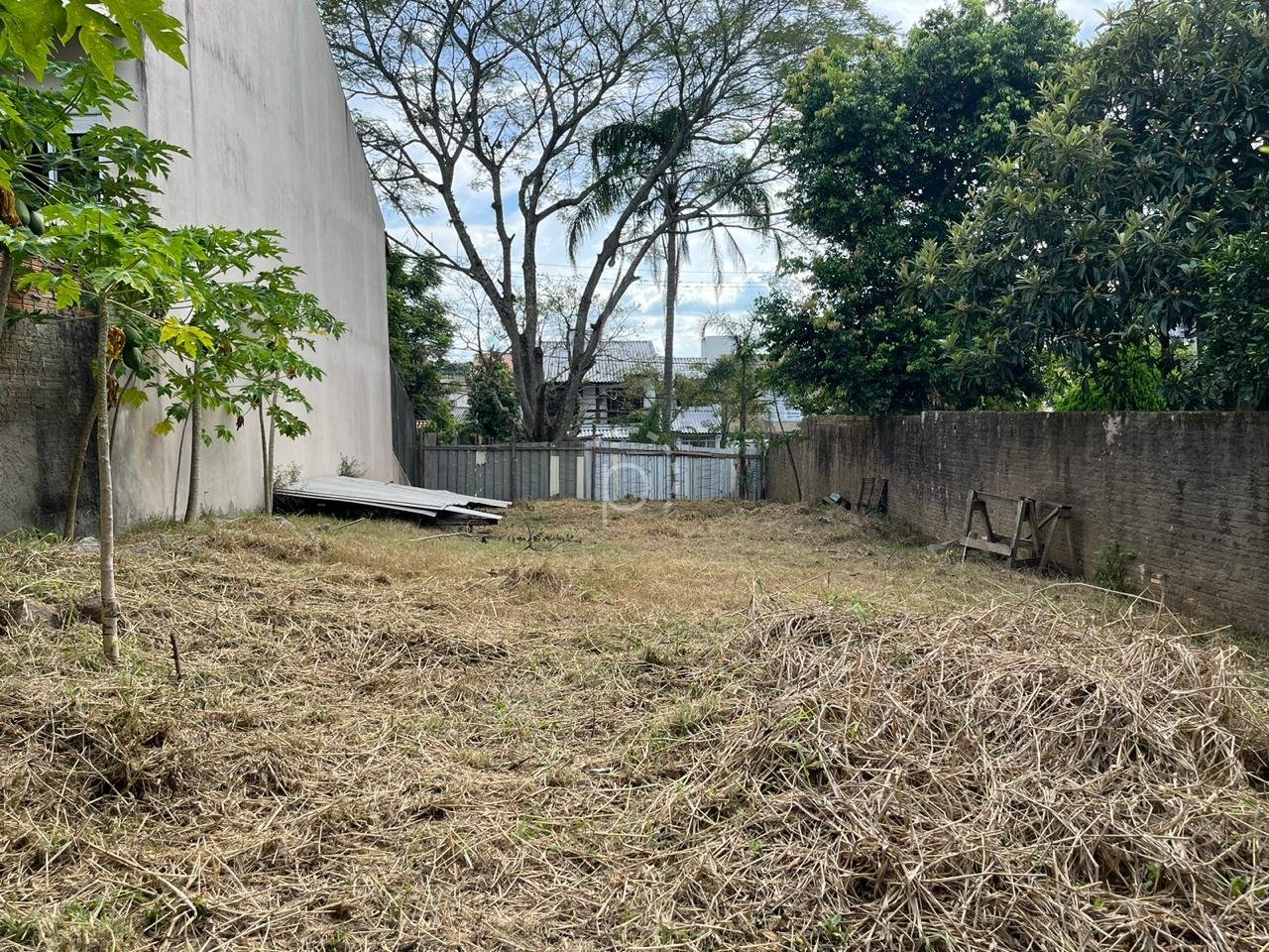 Imagem da propriedade 1