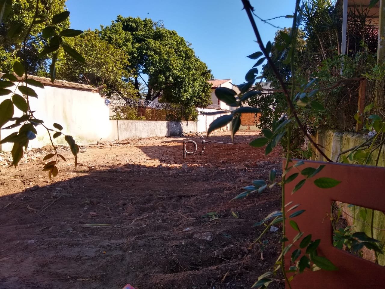 Imagem da propriedade 5