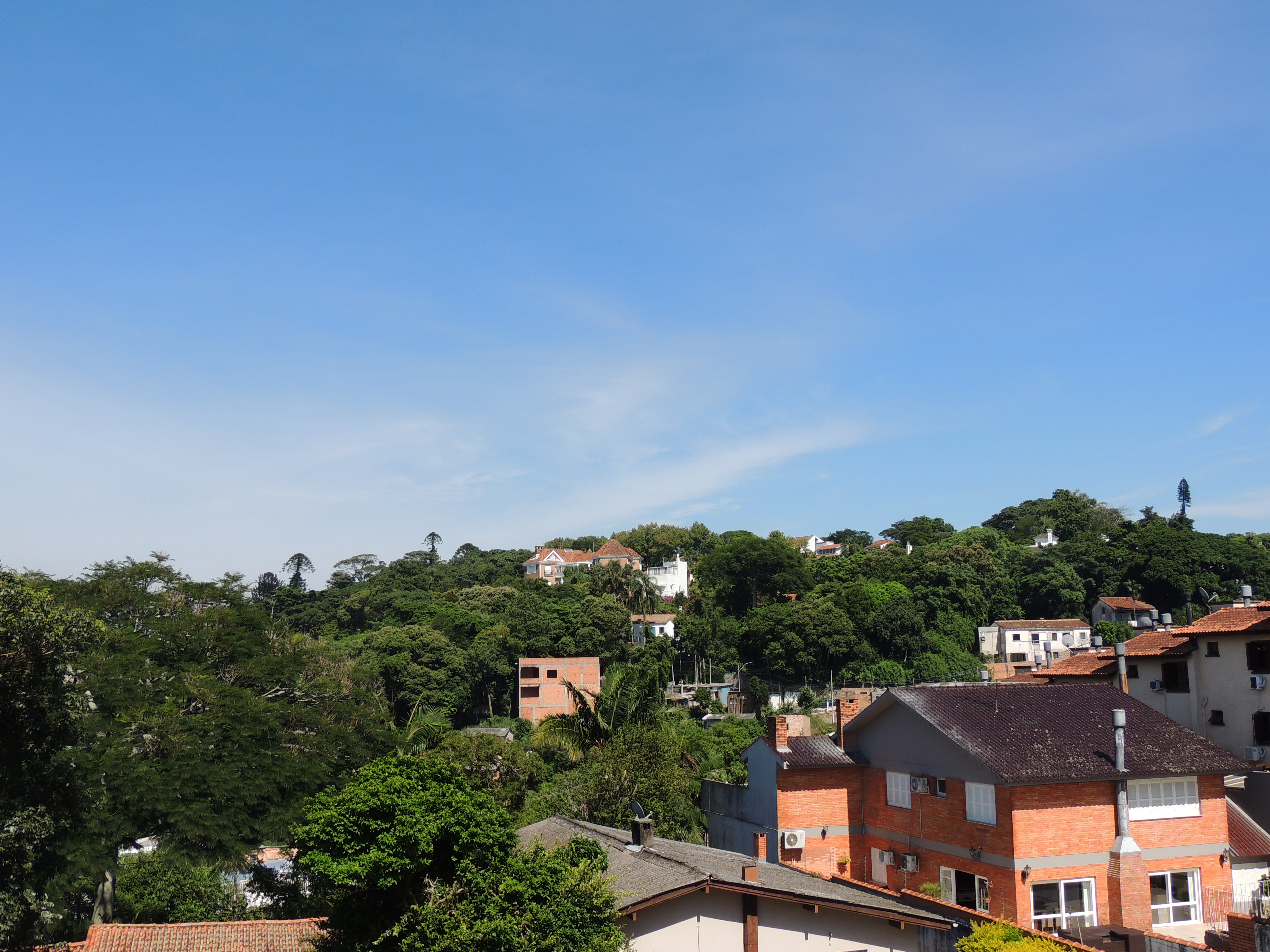 Imagem da propriedade 32