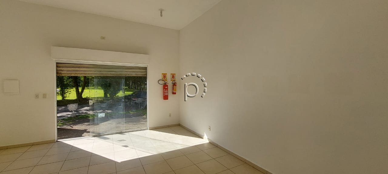 Imagem da propriedade 3