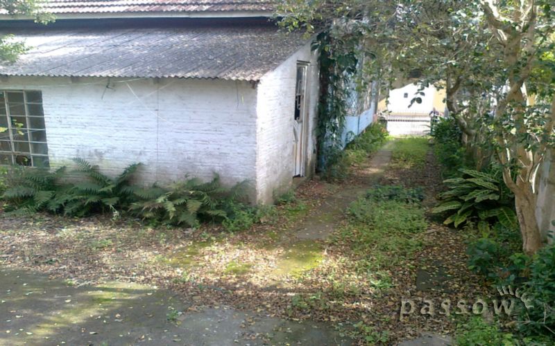 Imagem da propriedade 5