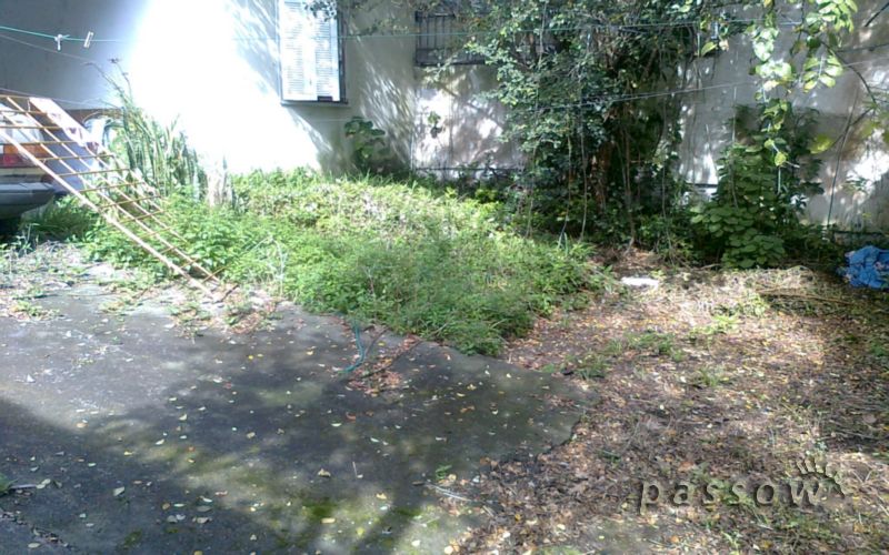 Imagem da propriedade 6